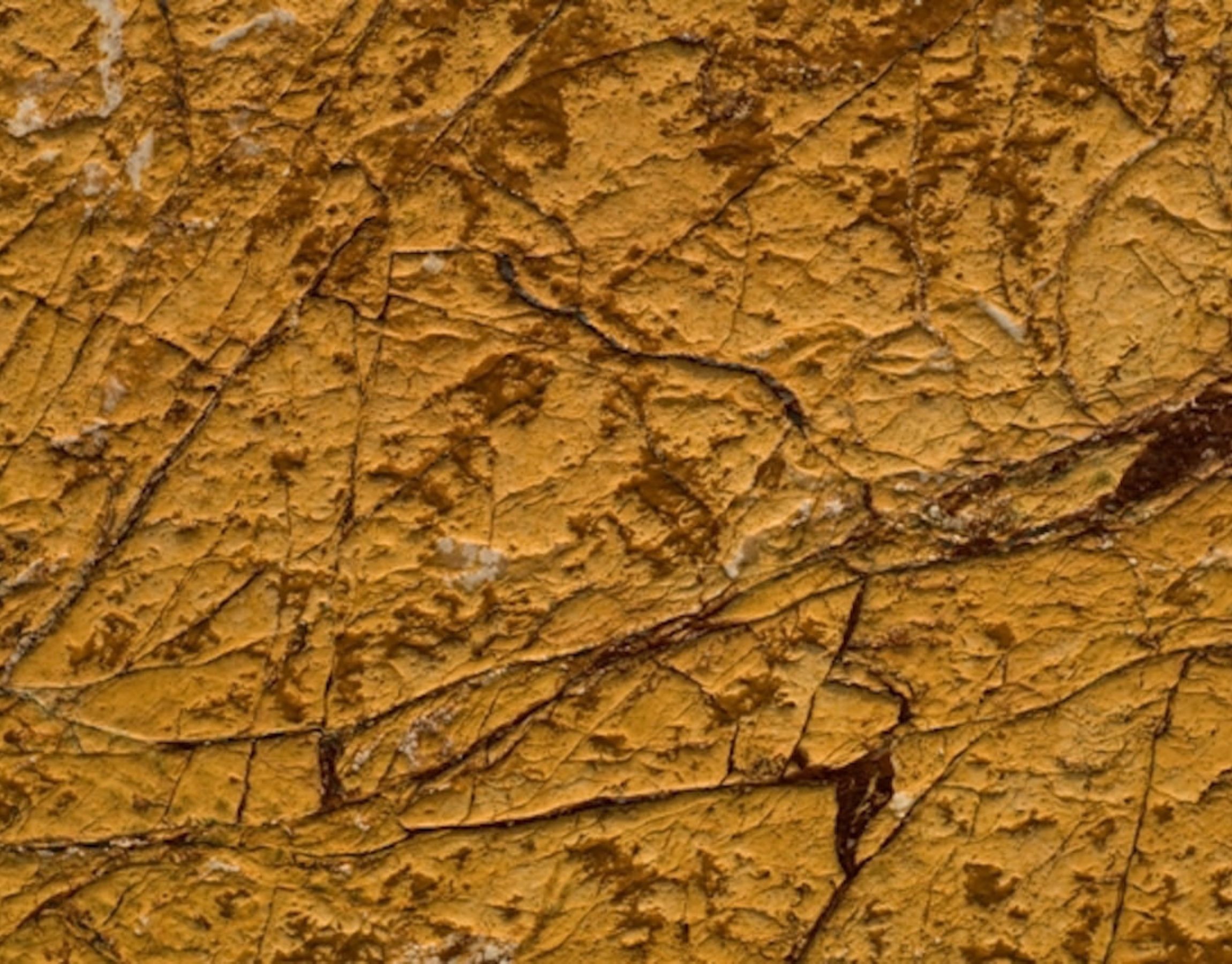 Forest Gold Antique Marble